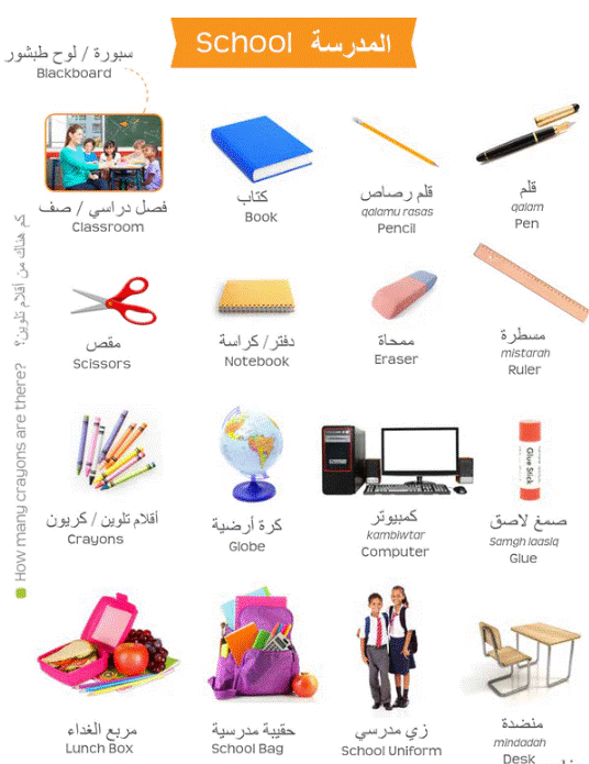 My First Arabic Words