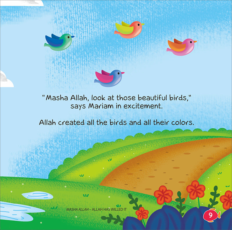 Allah: The Creator